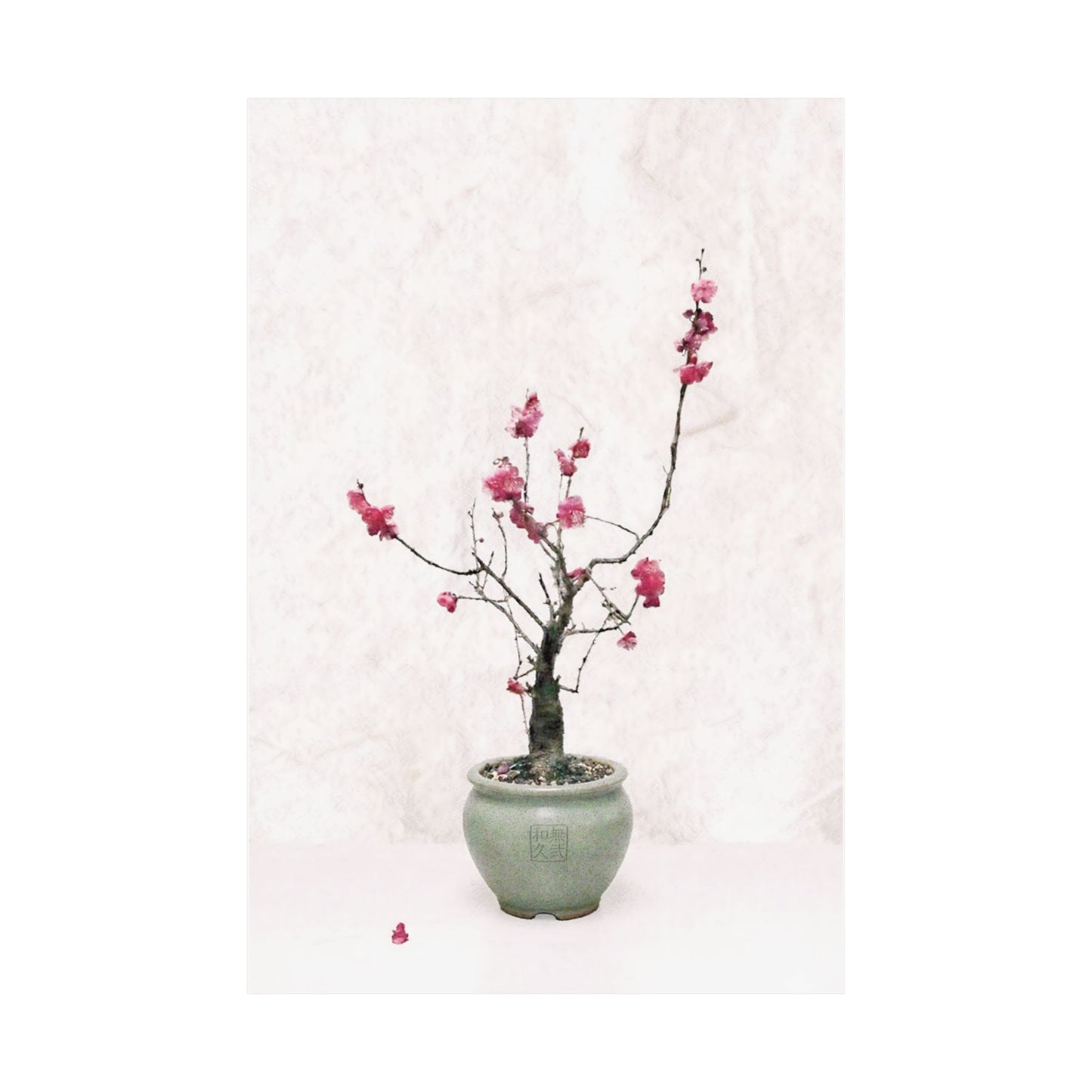 Japanese Red Plum Blossom Bonsai Art Matte Vertical Poster - Zen Botanical Decor, Minimalist Japandi Wall Art, Spring Gift PL1K|MU-NIJapan